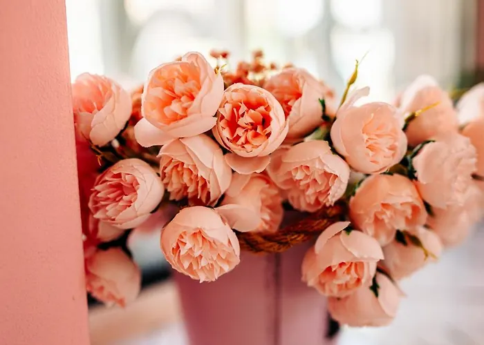 Hotel Kiev-free Parking 3*